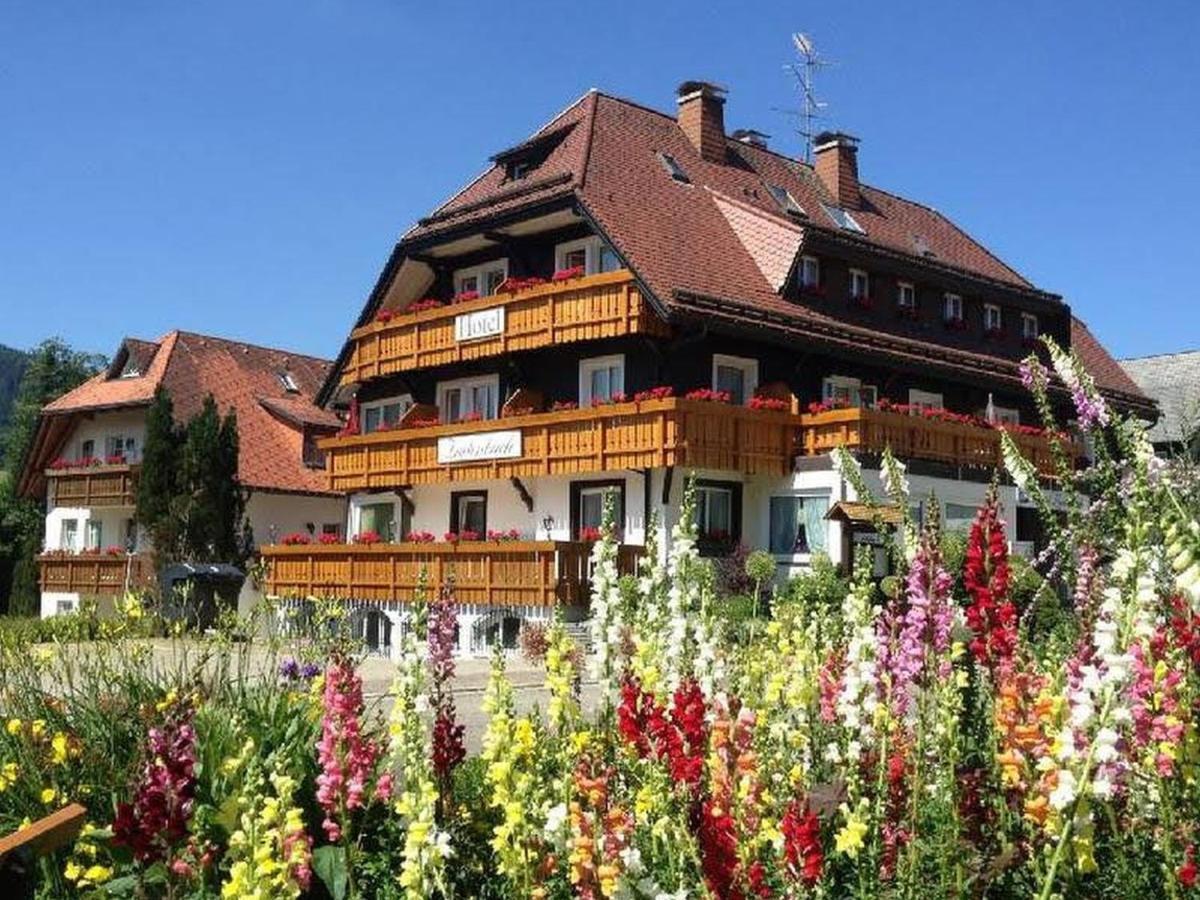 Hotel Zartenbach Хинтерцартен Экстерьер фото